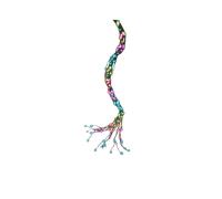 Ghirlanda di Luci LED Lumineo Multicolore 8 m