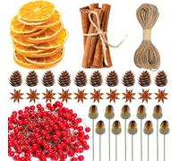 Ghirlanda di Natale, decorazioni artificiali, fette di arancia, frutta secca, bastoncini di cannella, per ghirlande natalizie, fioristi, decorazioni fai da te, decorazioni naturali, 220 pezzi