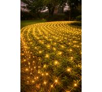 Ghirlanda LED 220V 3x2M Luci di Natale a rete 320led IP44 luce Bianca