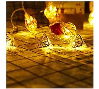 GHJrtHFJ luci decorative a filo, Luci fatate in ferro battuto | decorative a LED a batteria for matrimoni, Natale, compleanni e feste(Gold,4.9FT(10LED))
