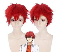 GHK GANGAN ONLINE Parrucca cosplay corta soffice a buon mercato Parrucche sintetiche rosse per capelli Mikoshiba Mikoto Halloween Parrucche per uomo 30cm