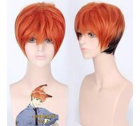 GHK Zootopia Nick Wilde Arancione Marrone Ombre Capelli sintetici Parrucca da uomo Anime Cosplay Parrucche per feste 30cm