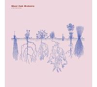A New Kind Of Love - Ghost Funk Orchestra (Audio cd)