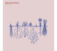 Ghost Funk Orchestra - A New Kind Of Love [VINYL]