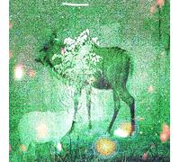 Ghost Lemurs Wombs and Alien Spirits (Vinyl LP) 12" Album