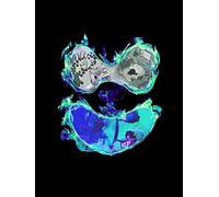 Ghost Pop 初回生産限定盤