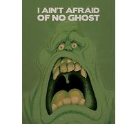 Ghostbusters Poster 60 x 80 cm Stampa su Tela Slimer cm