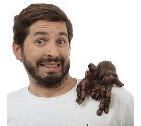 Ghoulish Productions Shoulder Buddy Tarantula Accessorio Costume Halloween 27837