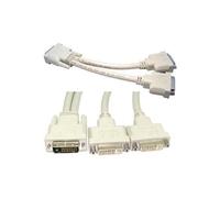 GI2013 DVI - D Dual Link Splitter Cable 20 centimetri