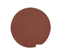 GI5345 Silverline Hook & Loop Dischi 250mm 10pk 80 Grana