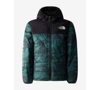 Giacca con cappuccio The North Face Never Stop Synthetic verde scuro nero bambini - S