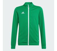Giacca da allenamento Entrada 22 Team Green / White 11-12A
