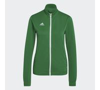 Adidas Entrada 22 Jacket Verde XS / Regular Donna