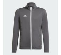 Felpa per ragazzi Adidas Kids Entrada 22 Track Jacket - grey 140 cm