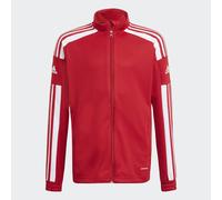 Giacca da allenamento Squadra 21 Team Power Red / White 13-14A