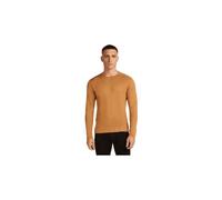 Giacca da uomo icebreaker merino 260 tech brown