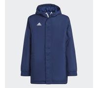 Adidas Ent22 Stadium Jacket Blu 15-16 Years Bambini