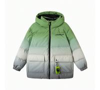 Giacca imbottita con cappuccio e stampa di giocattoli per bambini, invernale 2025, protettiva e calda 7Y,8Y,10Y,5Y,14Y,12Y,13Y,16Y,15YLettere,stampa dappertuttoPoliestere