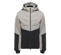 Giacca Sci Uomo Dainese LEVITA DERMIZAX EV™ Elephant Grey/Stretch Limo Taglia:XXL