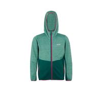 Giacca softshell per bambini Regatta Prenton III Vert 15/16 ans