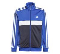ADIDAS PERFORMANCE Completo per l'allenamento 'Essentials Tiberio' blu reale / nero / bianco, Taglia 152