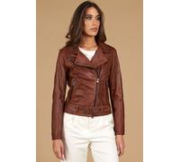 Giacca Vera Pelle Testa di Moro Donna Giacca Moto Made in Italy Chiodo