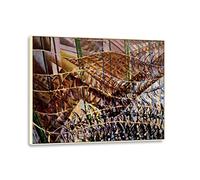 Giacomo Balla Futurismo Famosa Quadro ad olio Rondoni: Percorsi di Movimento Sequenze Dinamiche Stampa su Tela per Arredamento Casa 90x115cm Incorniciato d'oro