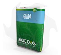 Giada Bottos - 20 Kg Sementi evolute per prato ombreggiato