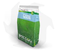 Giada Bottos - 5 Kg Sementi evolute per prato ombreggiato