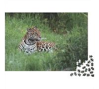 Giaguaro nella giungla Puzzle 1000 Pezzi Carta per Adulti Scena di prateria Gioco di Puzzle 1000 Pezzi Relax Interazione Decorazione Regalo 52x38cm/1000pcs