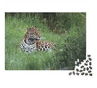 Giaguaro Selvaggio Puzzle 1000 Pezzi Carta per Adulti Scena nella Giungla Gioco di Puzzle 1000 Pezzi Famiglia Relax Regalo 38x26cm/1000pcs