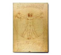 Giallobus - Quadro - Leonardo Da Vinci - Uomo Vitruviano - Tela Canvas Telaio Standard - 50L x 70l cm - Pronto da appendere - Quadri moderni per la casa