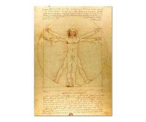 Giallobus - Quadro - Leonardo Da Vinci - Uomo Vitruviano - Vetro acrilico - 70L x 100l cm - Pronto da appendere - Quadri moderni per la casa