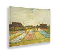 Giallobus - Quadro - Vincent Van Gogh - Letti di fiori in Olanda - Tela Canvas Telaio Standard - 50x35 - Pronto da appendere - Quadri moderni per la casa