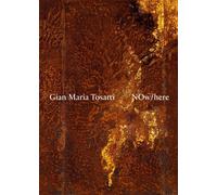 Gian Maria Tosatti. Now here. Ediz. italiana e inglese - Todolí V. (cur.)