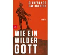 Gianfranco Calligarich Karin Krieger Wie ein wilder Gott: Roman (Tascabile)