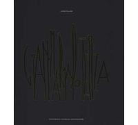 Gianmaria Potenza. Alfabeti sconosciuti e linguaggi simbolici-Gianmaria Potenza. Unknown alphabets and symbolic languages. Ediz. a colori