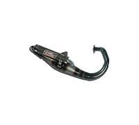 31255E - Scarico Completo Giannelli Reverse Malaguti F12 50 (08-09)