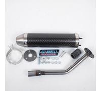 Giannelli - Silenziatore di scarico per Moto Beta 50 RR Enduro Standard 2009-2011, Codice dell’Articolo: 34688HF C
