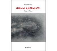 Gianni Antenucci. Frozen vision. Ediz. italiana e inglese