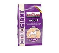 Giant Adult - 15KG