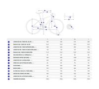 Bici elettrica GIANT Defy Advanced E+ Elite 2 2026 GRIS ML