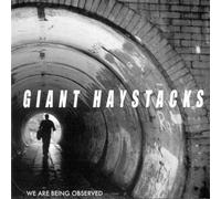 GIANT HAYSTACKS - WE ARE BEING OBSERVED