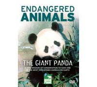 Giant Panda: Endangered Animals [Edizione: Regno Unito] [Edizione: Regno Unito]
