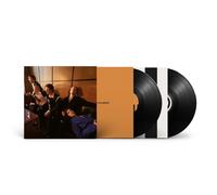 Giant Rooks How Have You Been? (Vinyl LP) 12" Album (Limited Edition)