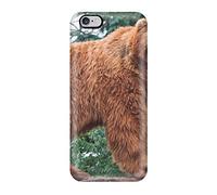 Giant Sand - A Cover Magazine