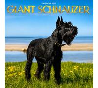Giant Schnauzer Calendar 2027: Large Dogs and Active Days