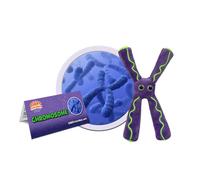 GIANTMICROBES ORIGINAL CROMOSOMA Chromosome - Peluche virus batteri cellule