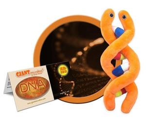 GIANTMICROBES ORIGINAL DNA Acido Desossiribonucleico Codice genetico Peluche