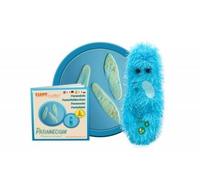 GIANTMICROBES ORIGINAL PARAMECIO Paramecium caudatum Peluche virus microrganismi